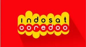 Solusi Tidak Bisa Cek Kuota Indosat