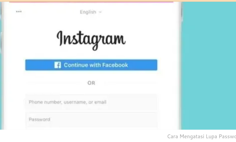 Bagaimana Cara Mengambil video di Instagram