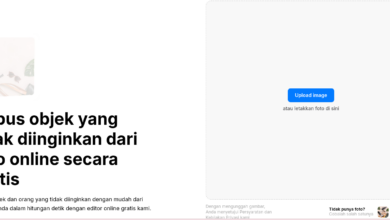 Rekomendasi Website Hapus Objek Foto